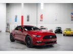 Thumbnail Photo 20 for 2017 Ford Mustang